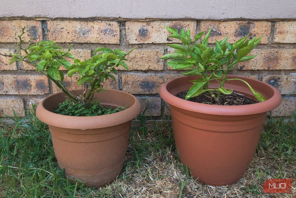 صورة لـ اختيار التنسيق الأمثل بين JPEG، GIF، و PNG: شرح أنواع ملفات الصور واختبارها | 15mynhcky0RAUuZVSEzy7Hw-DzTechs