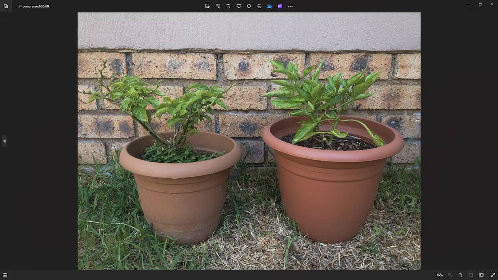 صورة لـ اختيار التنسيق الأمثل بين JPEG، GIF، و PNG: شرح أنواع ملفات الصور واختبارها | 1Co6PeC1E2WOn0_FOWms5-w-DzTechs