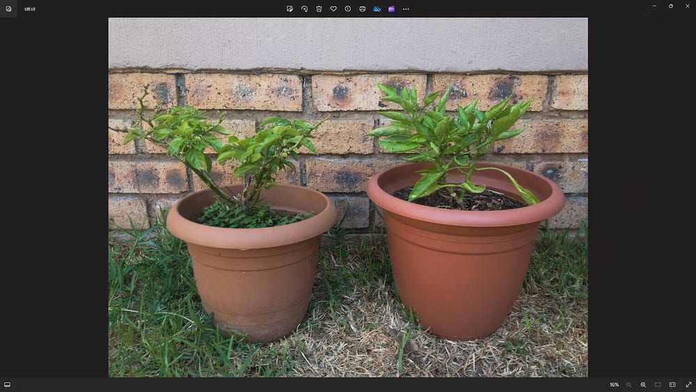 صورة لـ اختيار التنسيق الأمثل بين JPEG، GIF، و PNG: شرح أنواع ملفات الصور واختبارها | 1P42gqwhrvihE44uxGGXk0Q-DzTechs