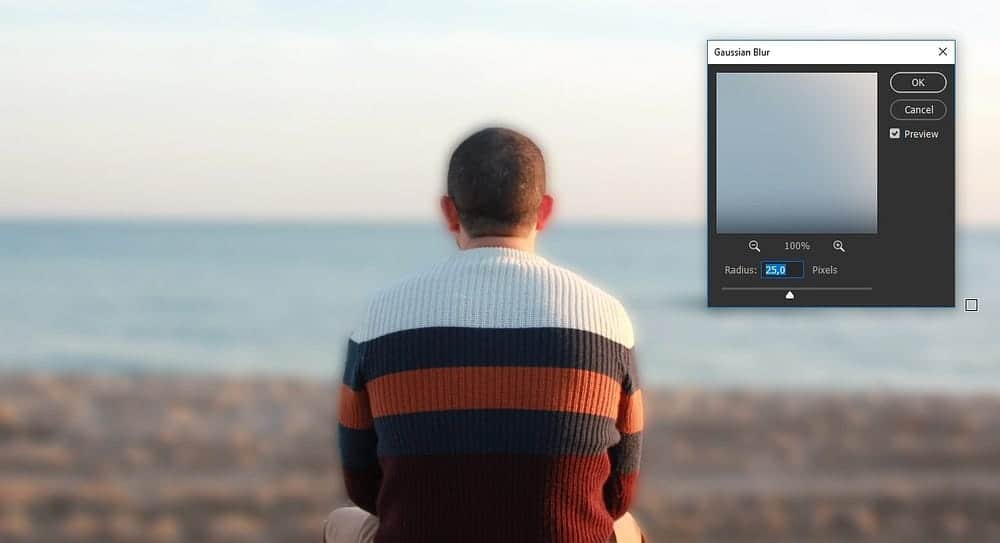 صورة لـ كيفية جعل الخلفية غير واضحة في Adobe Lightroom بخطوات بسيطة | 1ShrQXrwUI7aj__pg2moP8Q-DzTechs