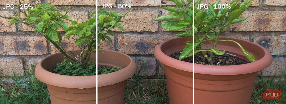 صورة لـ اختيار التنسيق الأمثل بين JPEG، GIF، و PNG: شرح أنواع ملفات الصور واختبارها | 1ms6bnoM9bFxRG2srCUx0QQ-DzTechs