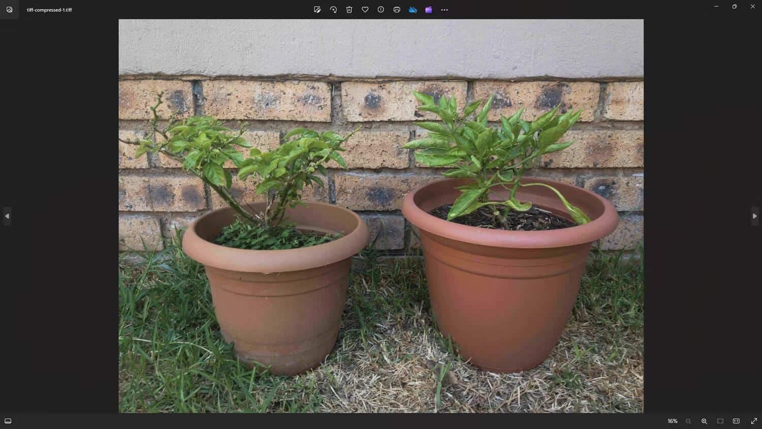 صورة لـ اختيار التنسيق الأمثل بين JPEG، GIF، و PNG: شرح أنواع ملفات الصور واختبارها | 1xjiW22Zo__kRH1zEse3eeg-DzTechs