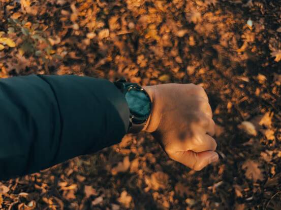 صورة لـ مراجعة عدسات Moment T-Series: هل تحتاج حقًا إلى المزيد من العدسات لهاتفك؟ | moment-t-series-telephoto-lens-sample-4.avif_