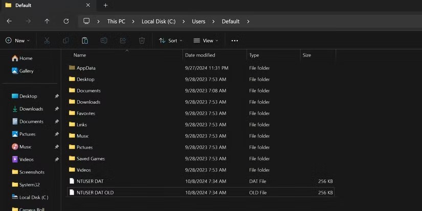 استبدال ملف NTUSER.DAT 1