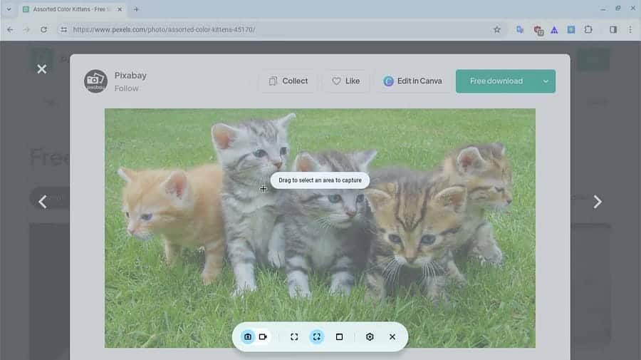 صورة لـ كيفية التقاط لقطة شاشة على Chromebook باستخدام أداة “لقطة الشاشة” | 11BJxl5hMz2Bwv1Al3JZr_A-DzTechs