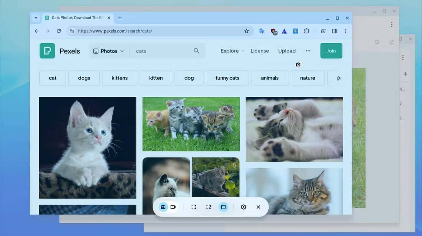 صورة لـ كيفية التقاط لقطة شاشة على Chromebook باستخدام أداة “لقطة الشاشة” | 1Fl1IeRbuYu-qie0PjQuVJA-DzTechs