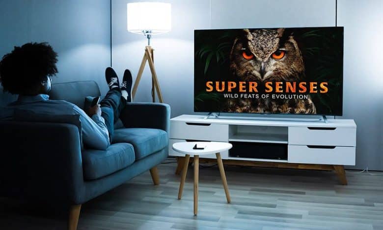 صورة لـ اكتشف أفضل الخدمات لمشاهدة المحتوى الوثائقي عبر الإنترنت | 1IktBHH5YA9bZLiRq3v-a-Q-DzTechs