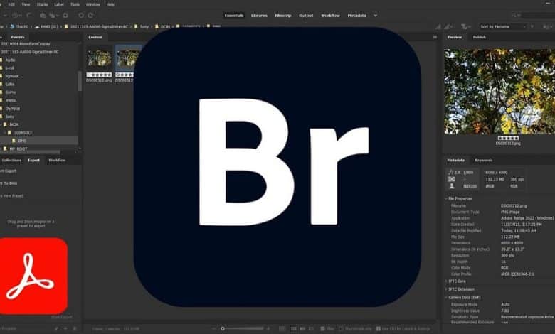 صورة لـ دليل استخدام Adobe Bridge للمُبتدئين: كيفية إدارة مُحتوىك بكفاءة | 1Qzesh_HyrQAlTRa2cg1IVA-DzTechs