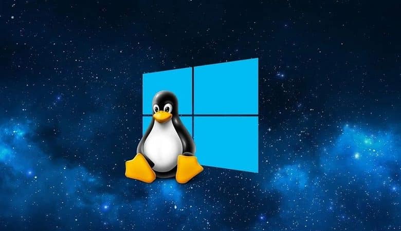 صورة لـ تأثير Windows الفرعي لـ Linux على حصول Linux لسطح المكتب على حصة سوقية إضافية | 1WQlrq5V1zniLhl5f3DU64A-DzTechs
