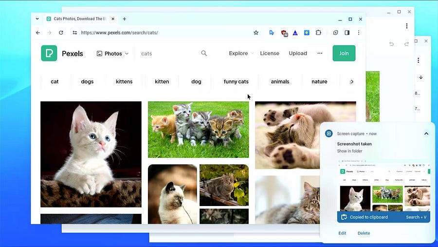 صورة لـ كيفية التقاط لقطة شاشة على Chromebook باستخدام أداة “لقطة الشاشة” | 1aQA7k3yM2YeXk7_AOO6Lfg-DzTechs
