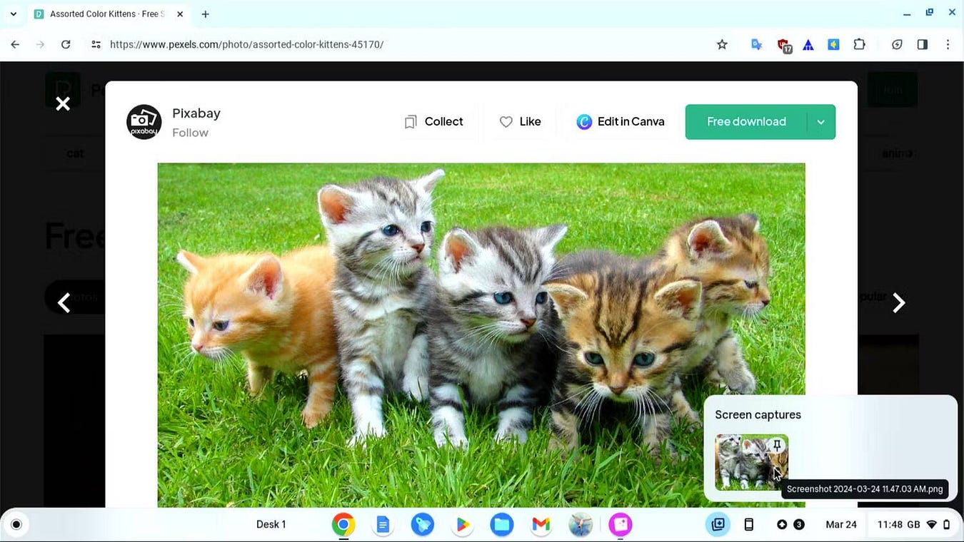 صورة لـ كيفية التقاط لقطة شاشة على Chromebook باستخدام أداة “لقطة الشاشة” | 1cy3Th9Mcy4EjGXzEwZSBSQ-DzTechs