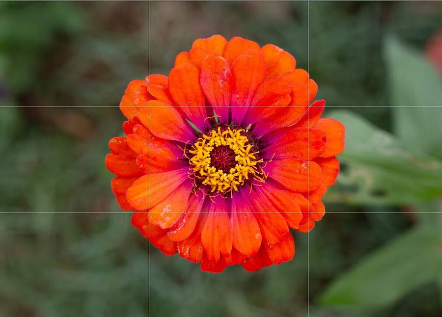 صورة لـ دليل استخدام قاعدة التثليث في التصوير الفوتوغرافي: تقنيات فعّالة لتحسين جودة الصور | 1gJM738CAkvFaeBs7WGDpQA-DzTechs