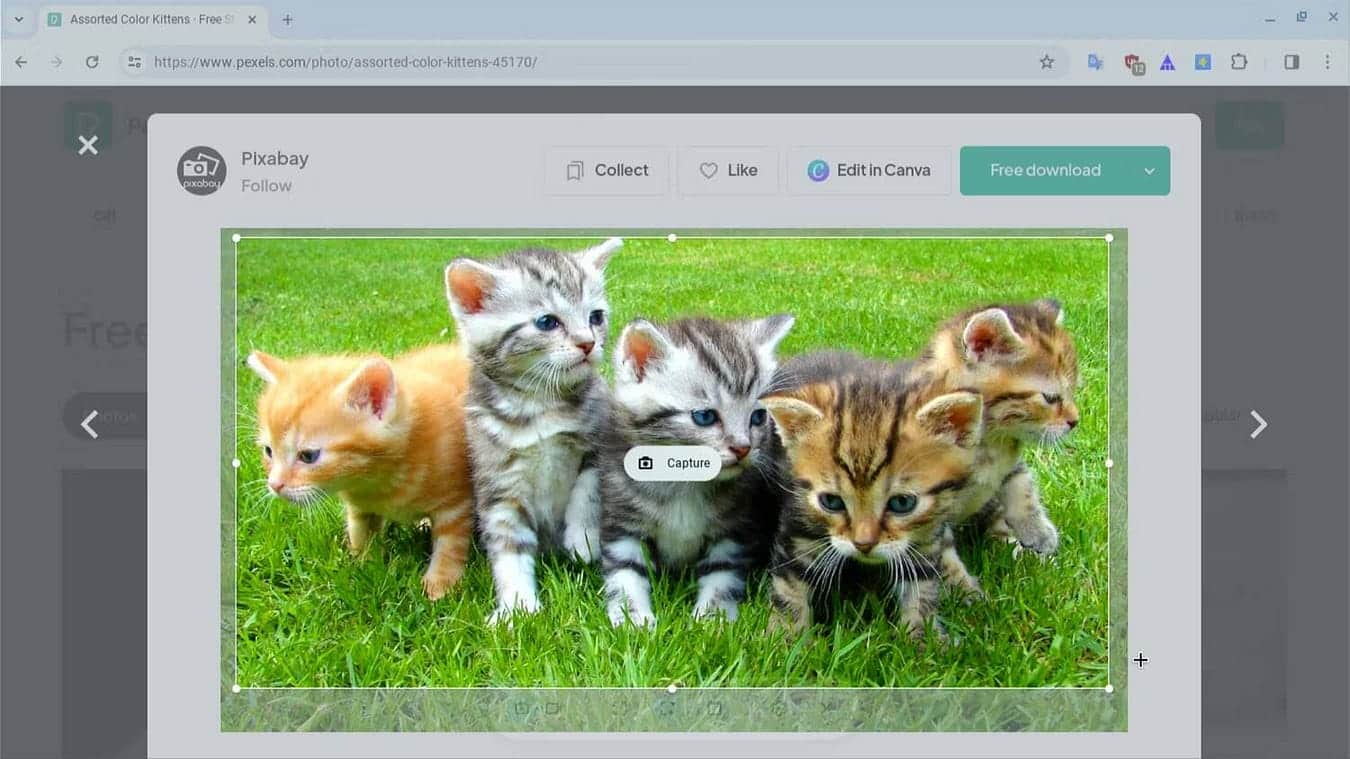 صورة لـ كيفية التقاط لقطة شاشة على Chromebook باستخدام أداة “لقطة الشاشة” | 1j-b67Rv370SYINamA03Fvg-DzTechs