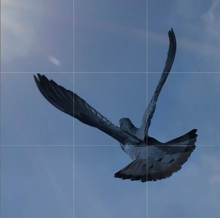 صورة لـ دليل استخدام قاعدة التثليث في التصوير الفوتوغرافي: تقنيات فعّالة لتحسين جودة الصور | 1rQi2MJwrMDXVIgpBHrp74w-DzTechs