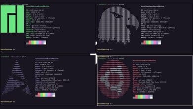 صورة لـ أفضل الخيارات المُتاحة لأخذ لقطات الشاشة على Linux (التي تستبدل Neofetch) | 106hZ7wRNzoqjje6bpATerA-DzTechs