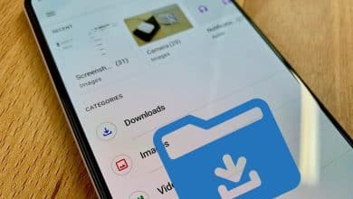 صورة لـ كيفية البحث عن التنزيلات على Android للعثور على ملفاتك | 19_BbKXAn7L3U11W_2I9smA-DzTechs