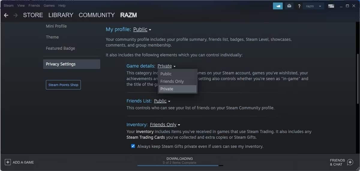 صورة لـ كيفية إخفاء نشاطك على Steam للحفاظ على معلوماتك | 10d8731zfVsNme_zJyyxvGA-DzTechs