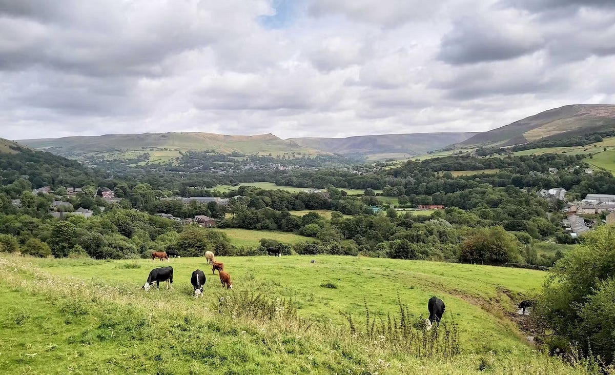 صورة لـ إعدادات يجب تعديلها لتحسين صور هاتفك الذكي قبل نشرها على مُختلف المنصات | 133HFYN2UMHuoNnA4z1DbYA-DzTechs