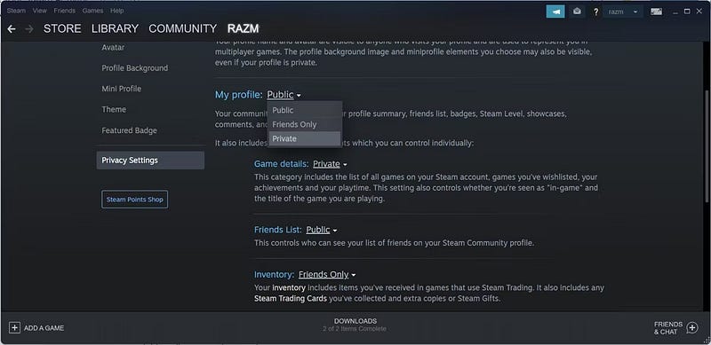 صورة لـ كيفية إخفاء نشاطك على Steam للحفاظ على معلوماتك | 1E0kE8CSP1ska4pn16CdyQQ-DzTechs