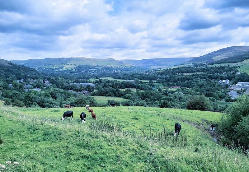 صورة لـ إعدادات يجب تعديلها لتحسين صور هاتفك الذكي قبل نشرها على مُختلف المنصات | 1PfmsVhAWvOzCqTRf3f3NoQ-DzTechs