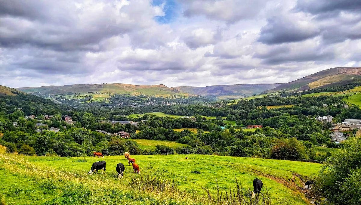 صورة لـ إعدادات يجب تعديلها لتحسين صور هاتفك الذكي قبل نشرها على مُختلف المنصات | 1T3bTQ4oaFCB6HfcMdqwaQA-DzTechs