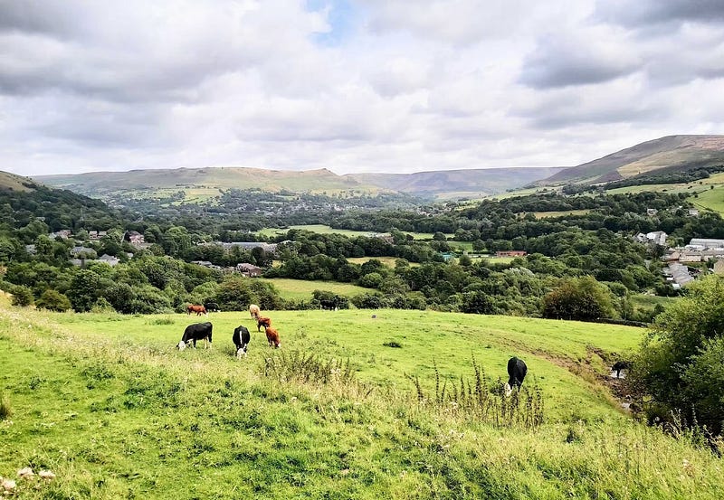صورة لـ إعدادات يجب تعديلها لتحسين صور هاتفك الذكي قبل نشرها على مُختلف المنصات | 1VmmAPY8BpqQ55USWXsQaMA-DzTechs