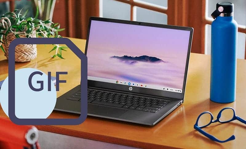 صورة لـ مزايا أداة GIF الجديدة على أجهزة Chromebook التي ستُغيِّر طريقة استخدامك | 1cAna4rXY0Cd68ssxf4RjgA-DzTechs