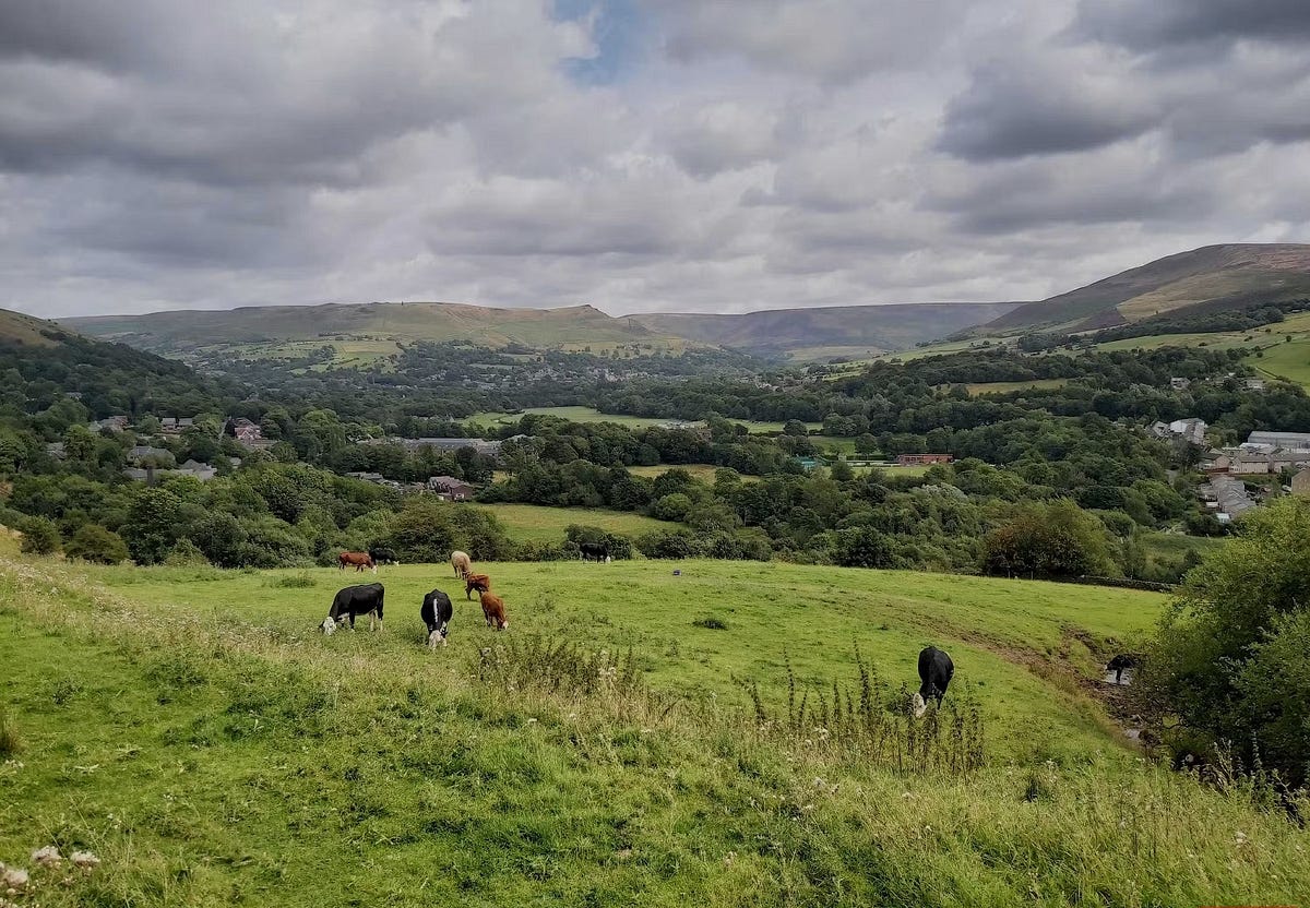 صورة لـ إعدادات يجب تعديلها لتحسين صور هاتفك الذكي قبل نشرها على مُختلف المنصات | 1lFw1bqxd8xVJbA9Ud1rAMQ-DzTechs