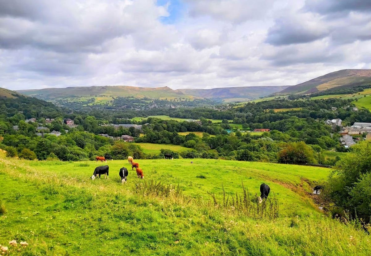 صورة لـ إعدادات يجب تعديلها لتحسين صور هاتفك الذكي قبل نشرها على مُختلف المنصات | 1v5igi5cSHv3Ep2hTT2zgGw-DzTechs