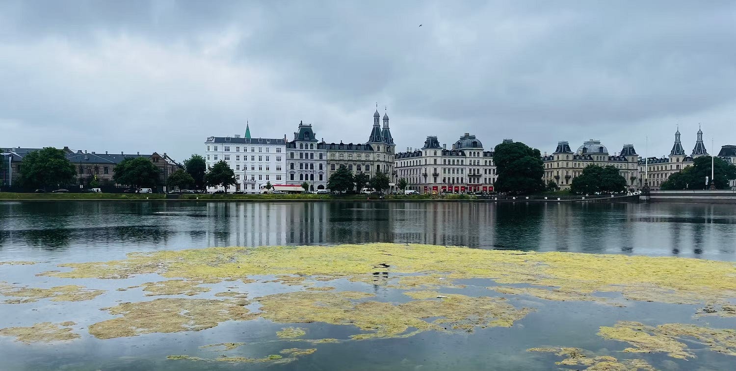 صورة لـ تجربتي كمُصور مُحترف باستخدام الهاتف الذكي بدلاً من الكاميرا | 1LTT2tGvv65bF9ouGmLlIwA-DzTechs