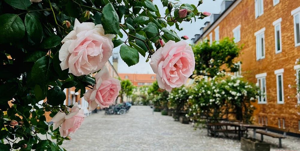 صورة لـ تجربتي كمُصور مُحترف باستخدام الهاتف الذكي بدلاً من الكاميرا | 1byc931CJX-CJ-npGdX_3KQ-DzTechs