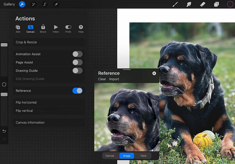 صورة لـ كيفية الدخول في عالم الرسم الرقمي بسهولة | 15anGhXLIMmWXOlEfo2UIvw-DzTechs