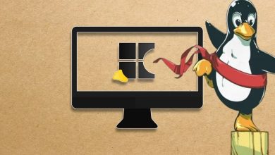 صورة لـ لماذا انتقلت إلى Linux وكيف أثر ذلك على تجربتي بدون أي ندم | 16WjehSvXJvXAGAT5lyG4rg-DzTechs