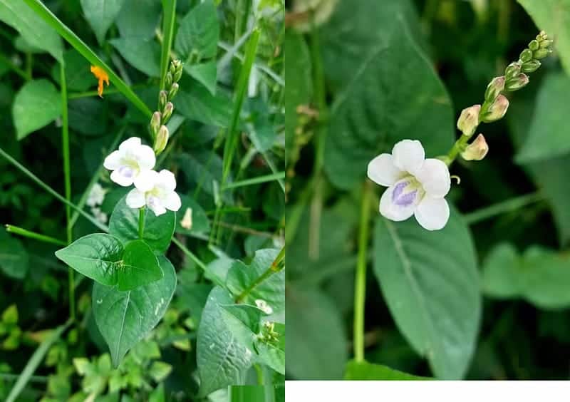 صورة لـ كيف تختار بين التكبير أو الاقتراب من موضوعك للحصول على أفضل صور بهاتفك الذكي | 16n9LQqqYG7pIW8BbwML91A-DzTechs