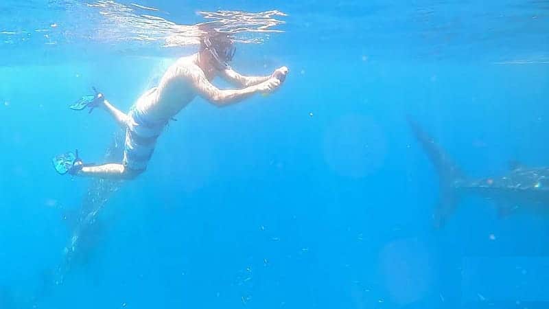 صورة لـ أفكار رائعة للاستفادة من كاميرا GoPro القديمة | 1YE1DwlTbRIDm4xS9amhCbw-DzTechs