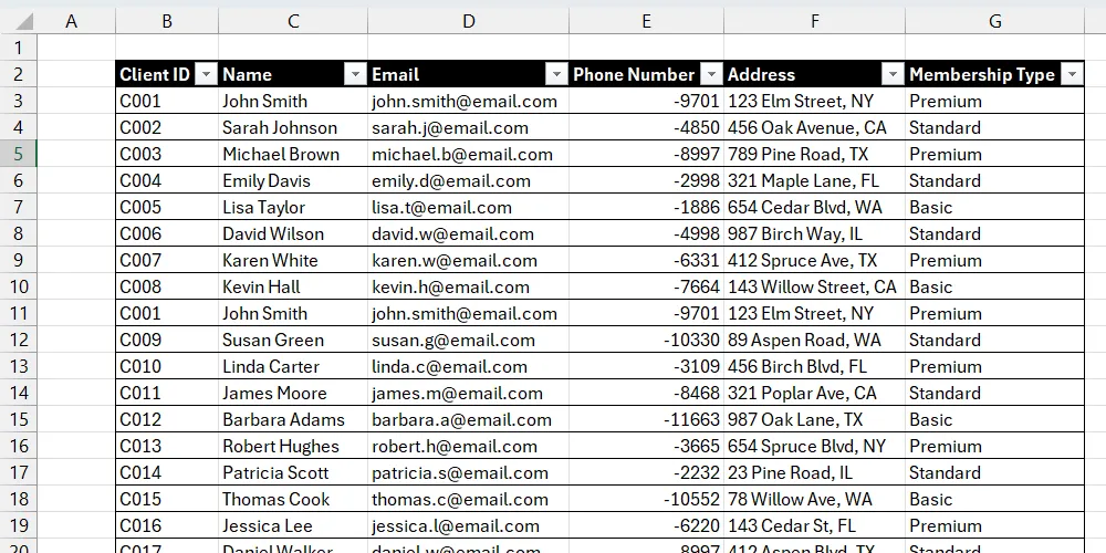 قائمة عملاء في Excel.