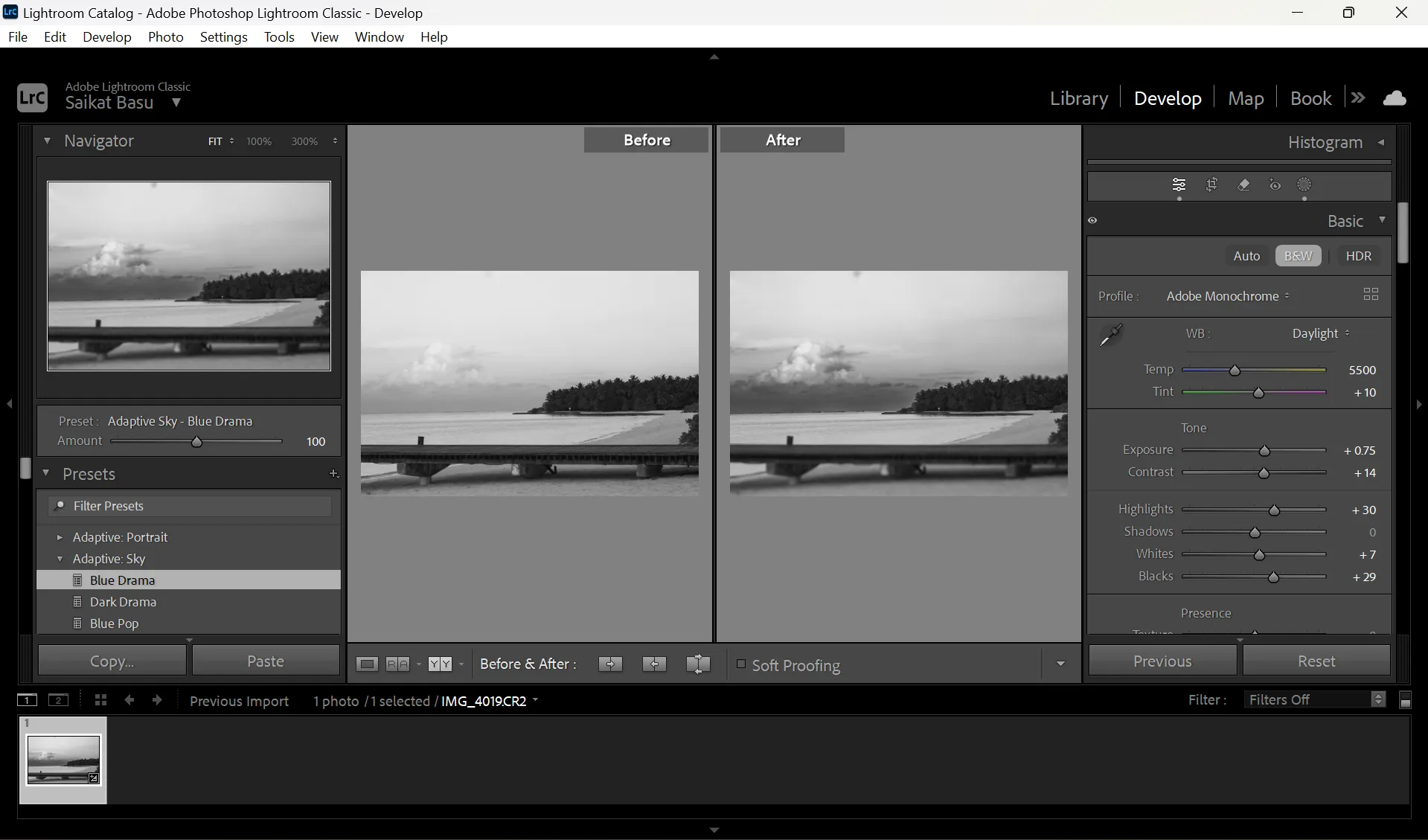 A Before and After view of a photo in Lightroom after applying filters