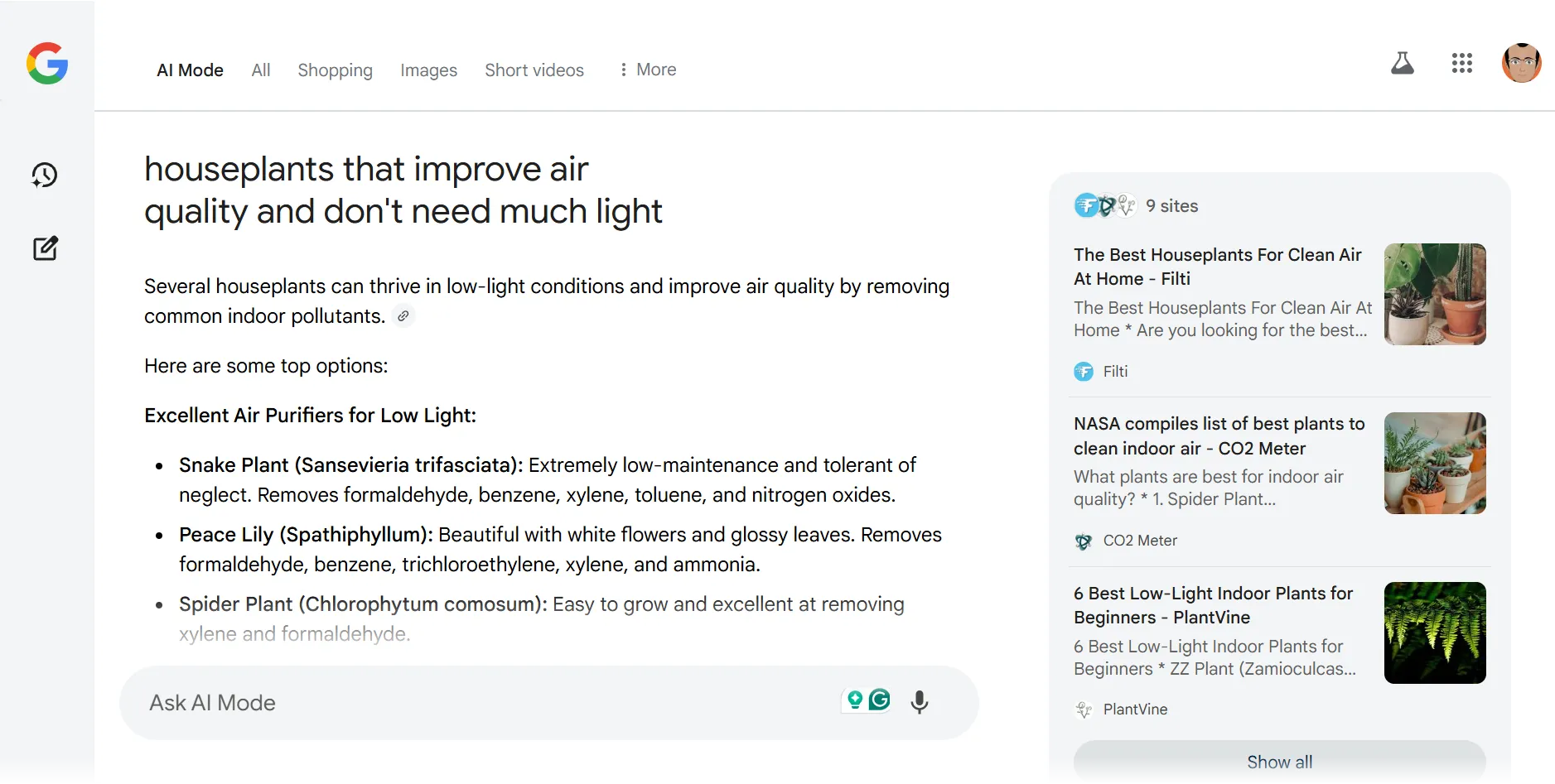 Google AI Mode Search page