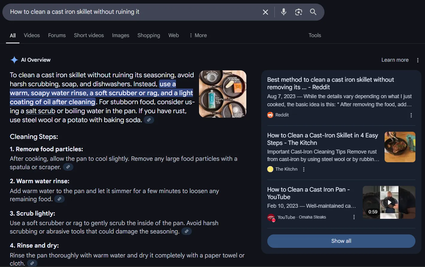 A screenshot of a Google AI Overview, responding to a generic prompt