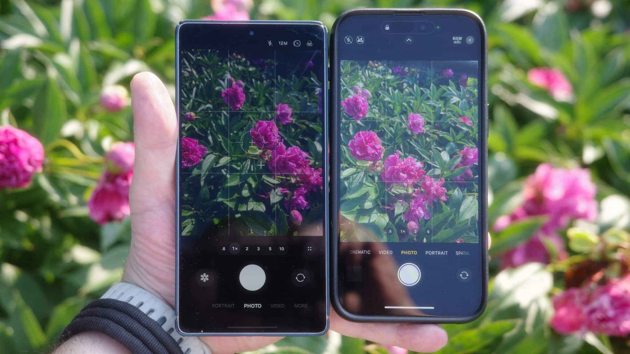 The best camera phones taking photos of red flowers in direct sunlight held individually and side by side