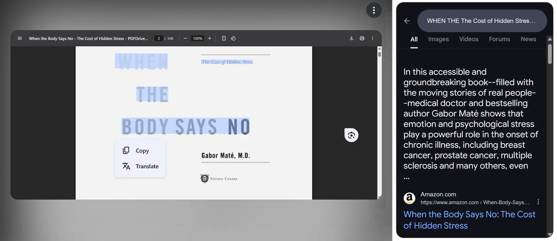 صفحة نتائج بحث Google Lens حول عنوان كتاب