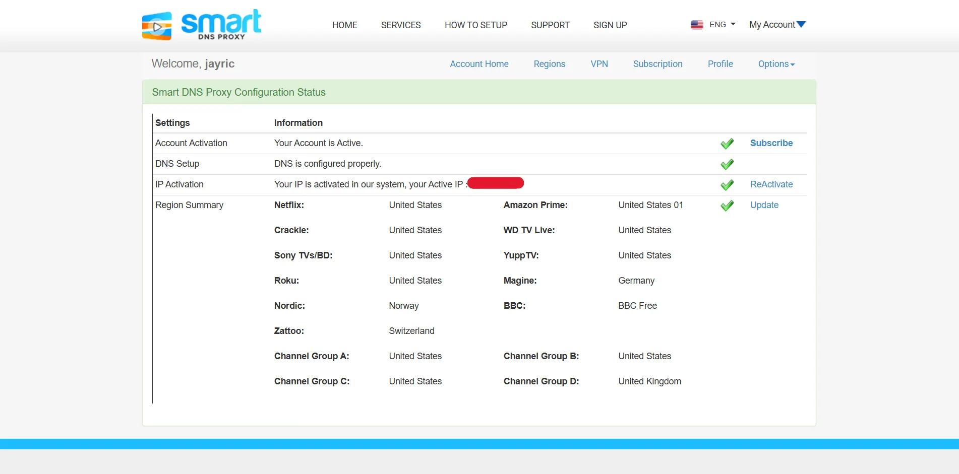 SmartDNS connection working