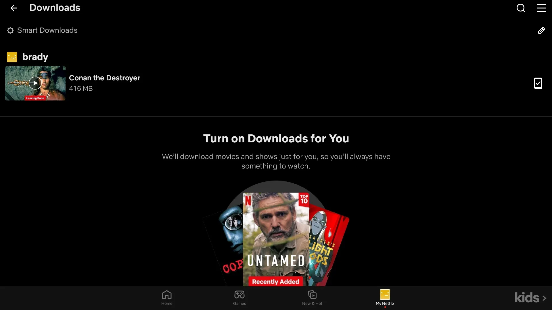 A list of downloaded content in Netflix's Downloads page