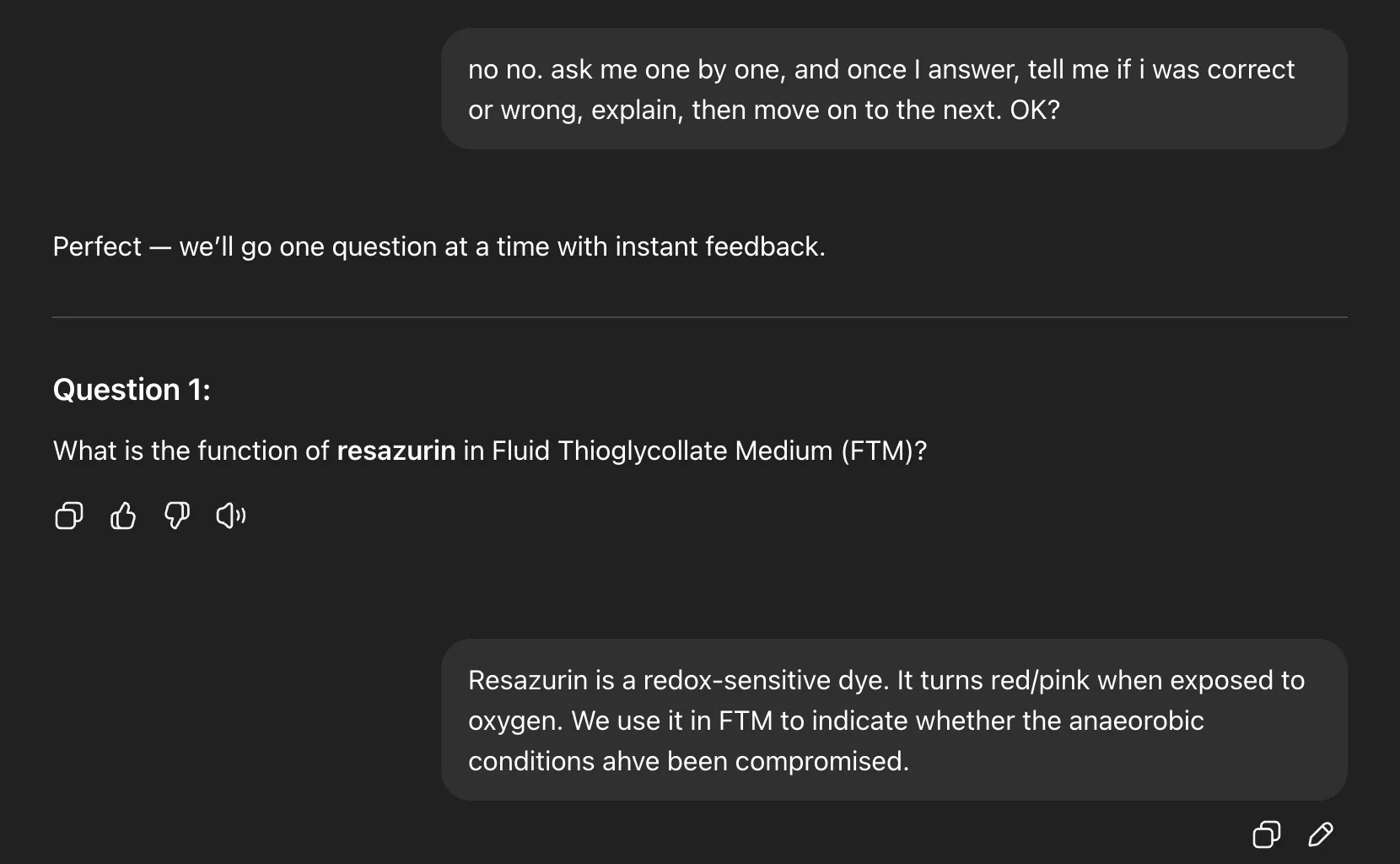 Asking ChatGPT to do the questions one by one