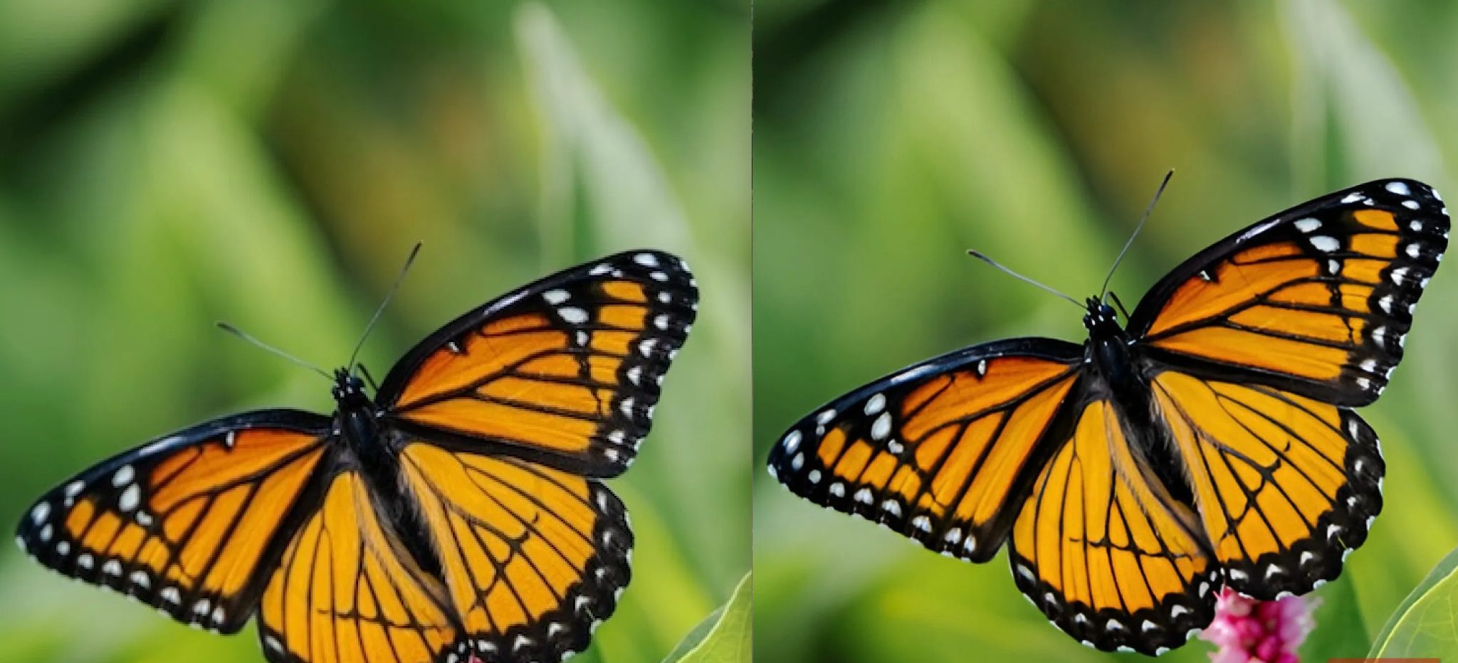 Before-After-Upscale