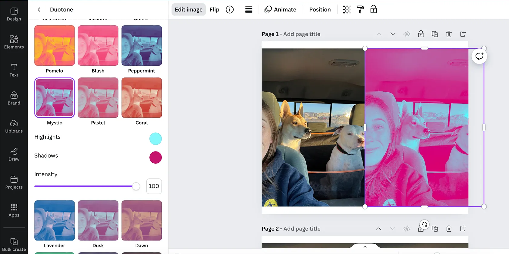 Duotone Effect in Canva