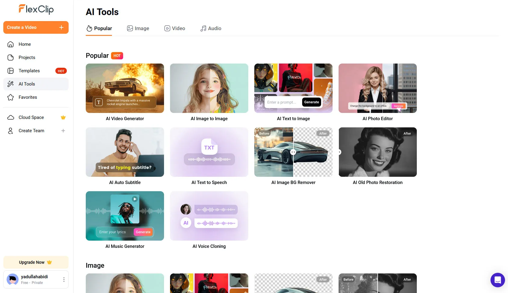 FlexClip free tier dashboard