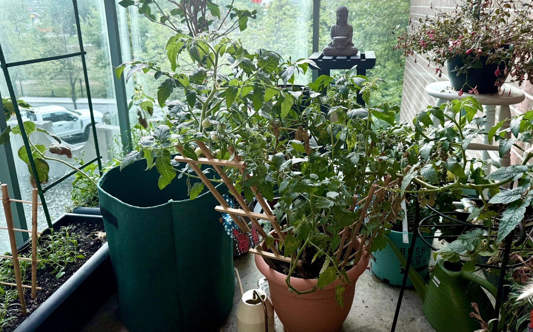 حديقة شرفة مليئة بالنباتات