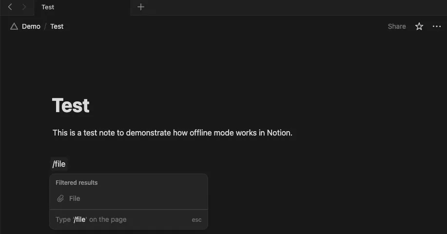 File block unavailable in Notion in offline mode.