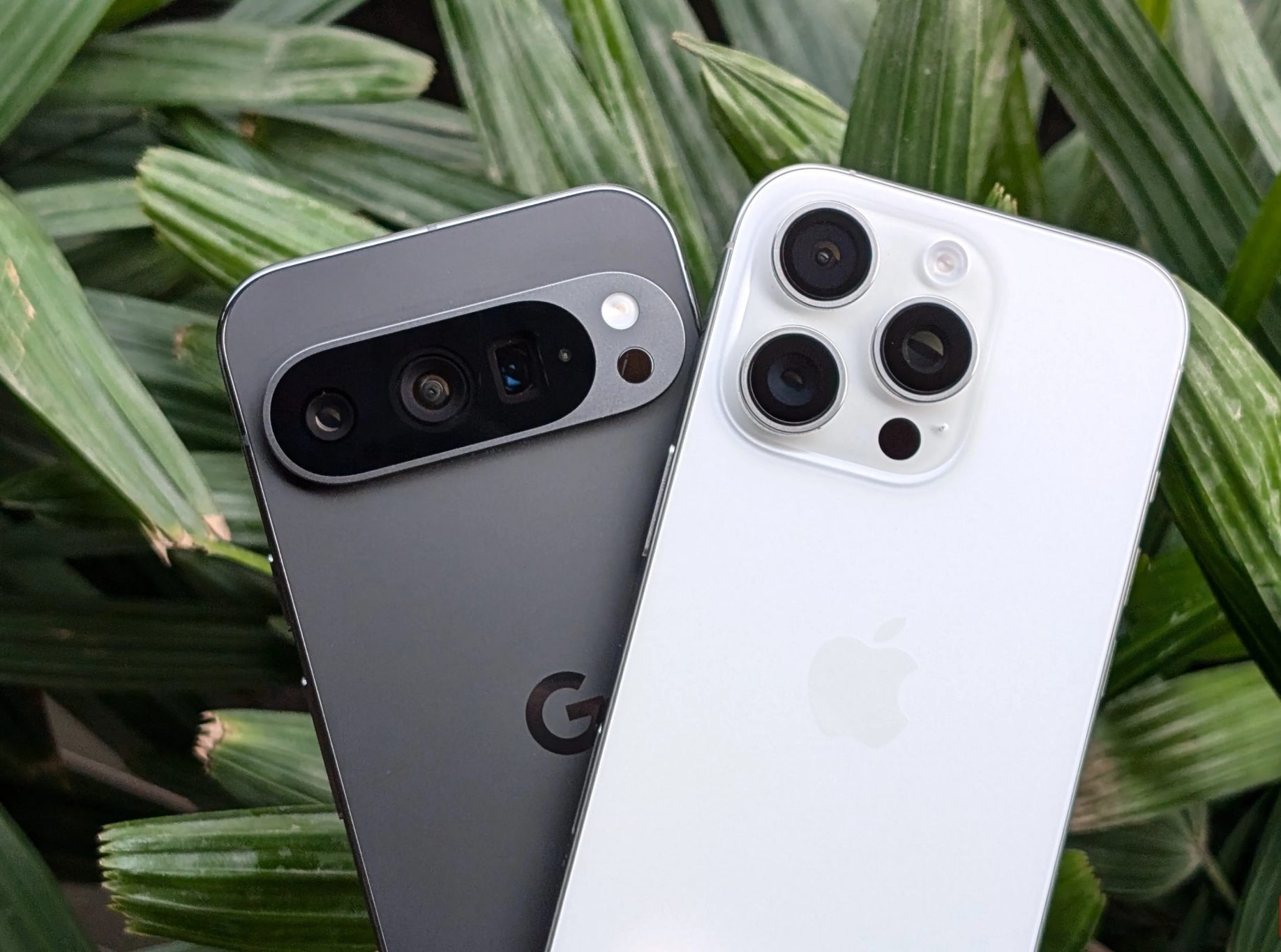 Pixel 9 Pro and iPhone 16 Pro in front of a plant